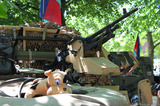 IMG 0484 Standard Issue SAS Cuddly Toy